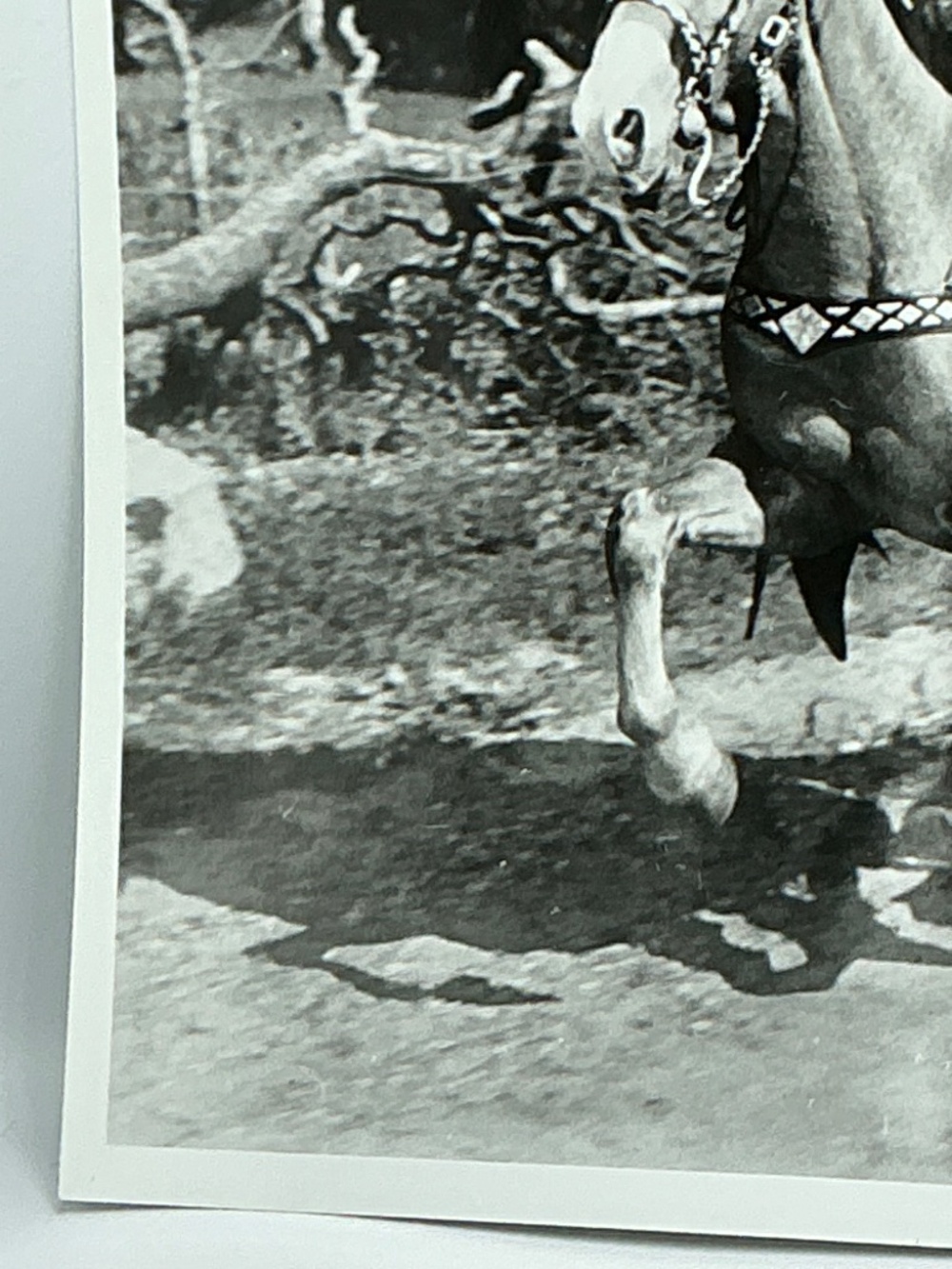 Roy Rogers & Trigger Glossy Photo Galloping Horse 8x10 Western Movie - Picture 5 of 6